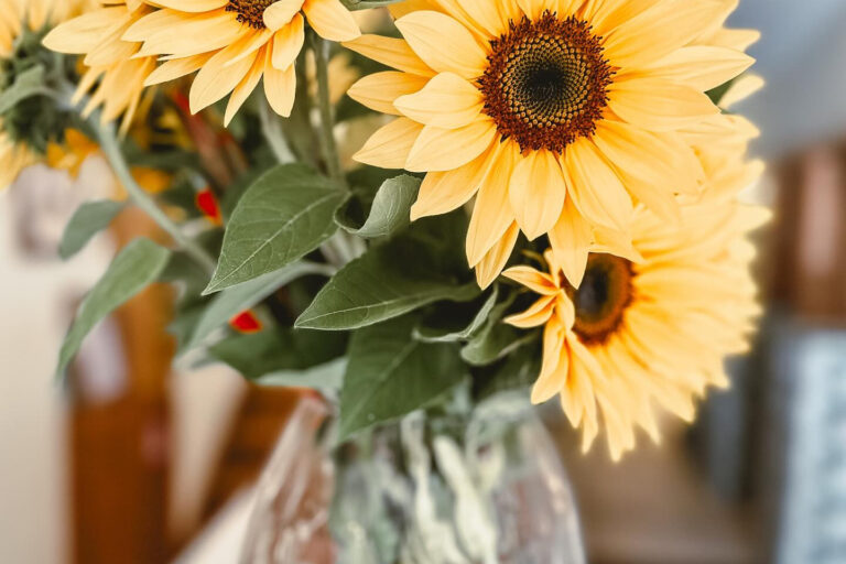 Restaurant Gutschein el´Paso Weitere Städte